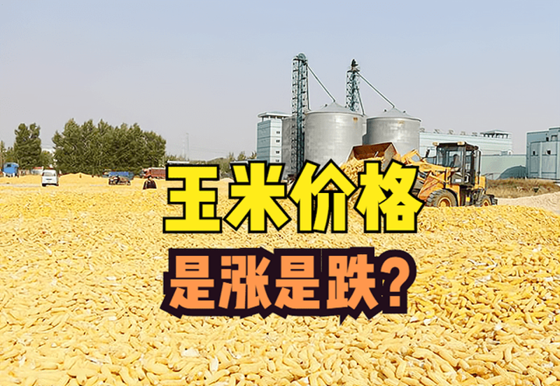 大米批发行业的发展现状与趋势