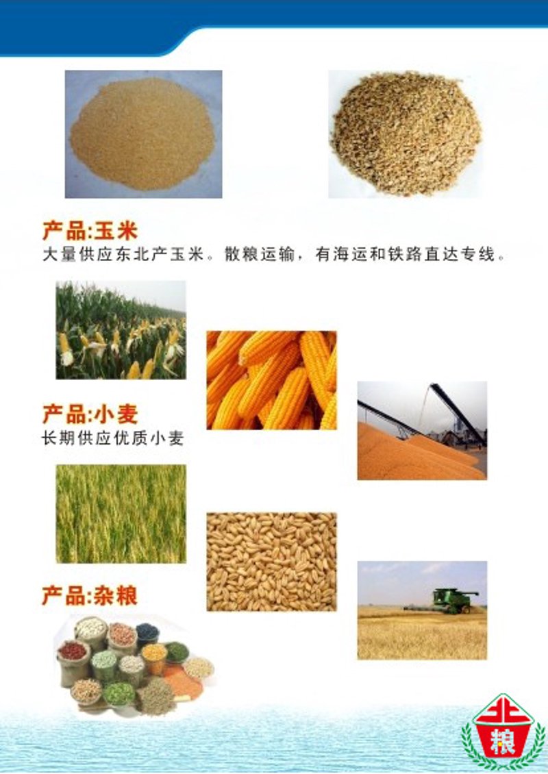 玉米价格波动解析与市场观察